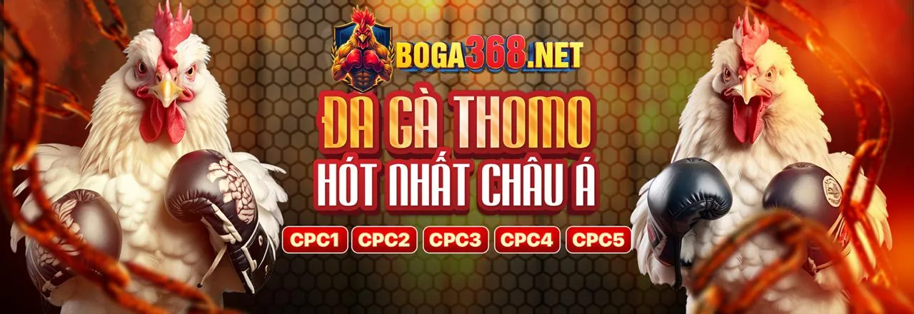Người chơi đặt cược thể thao trên nền tảng OK8368