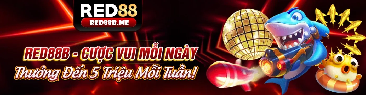 Hình ảnh giới thiệu OK8368, một nền tảng cá cược trực tuyến hàng đầu tại Việt Nam